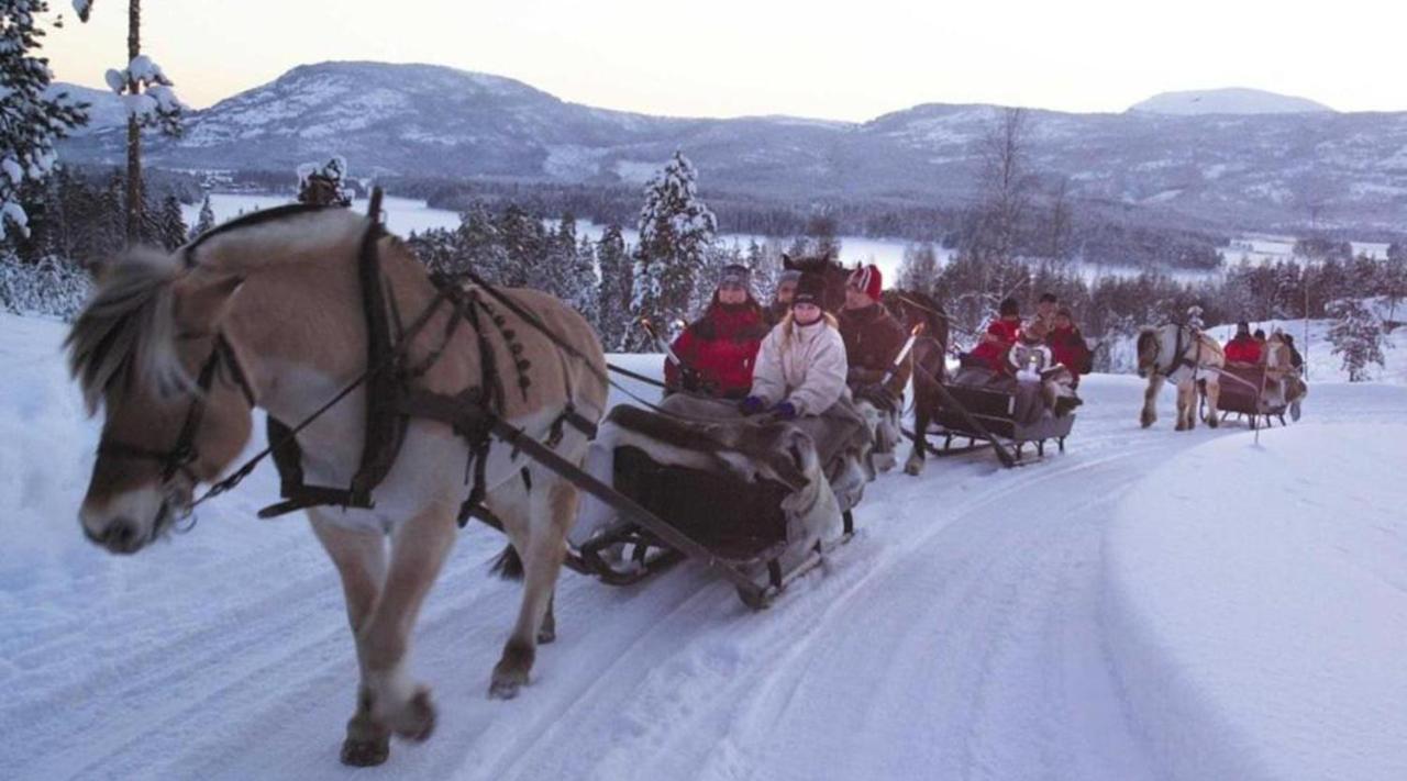 Hytte Naer Vannet, Jacuzzi Og Sauna Vradal Exterior foto